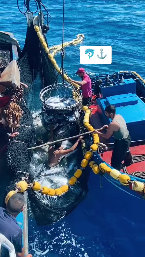 @🚢hàmìdø⚓⚡Ræysë🐬🏴☠️
