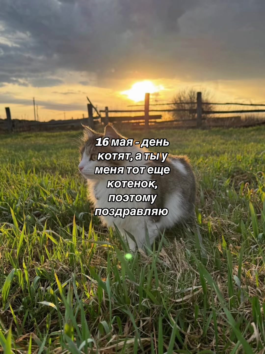 @𝐥𝐢𝐩𝐬𝐢𝐧𝐠 𝐦𝐮𝐬𝐢𝐜