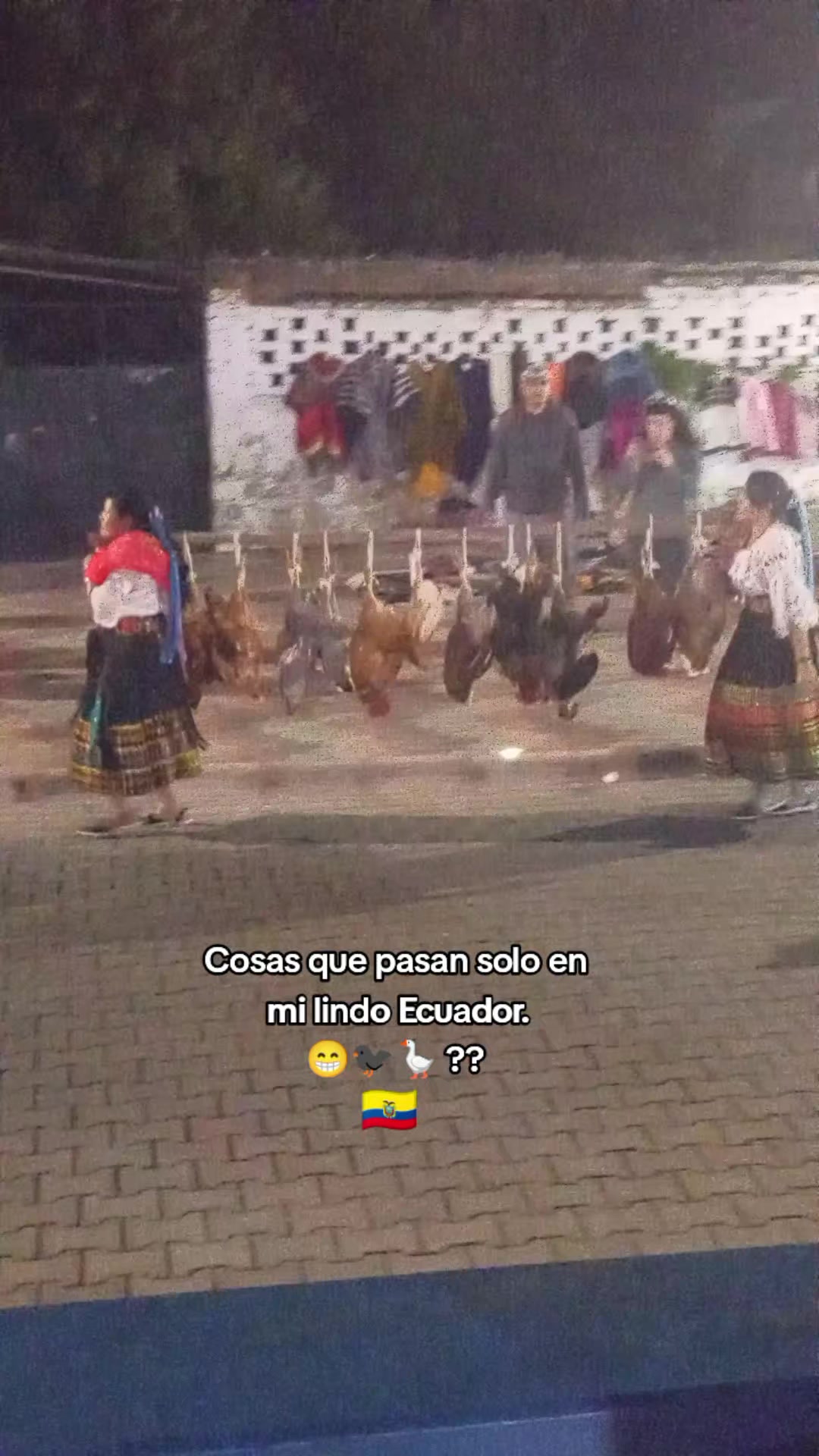 @🔋BELLAKO 🇪🇨