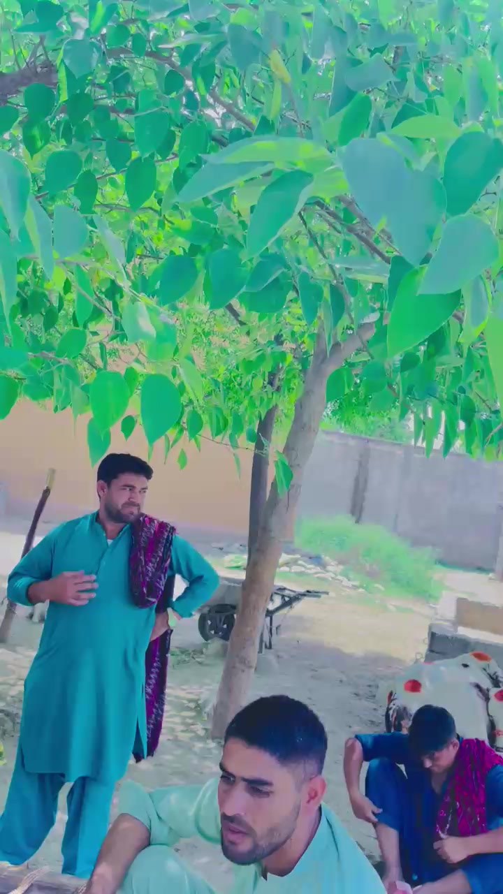 @عاقل خان باڑے آلہ