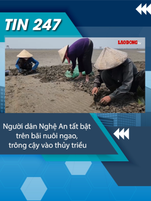 @Tin tức 24/7