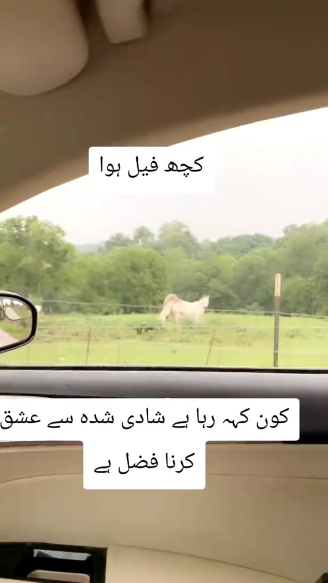 @Khan Zadi 🦅