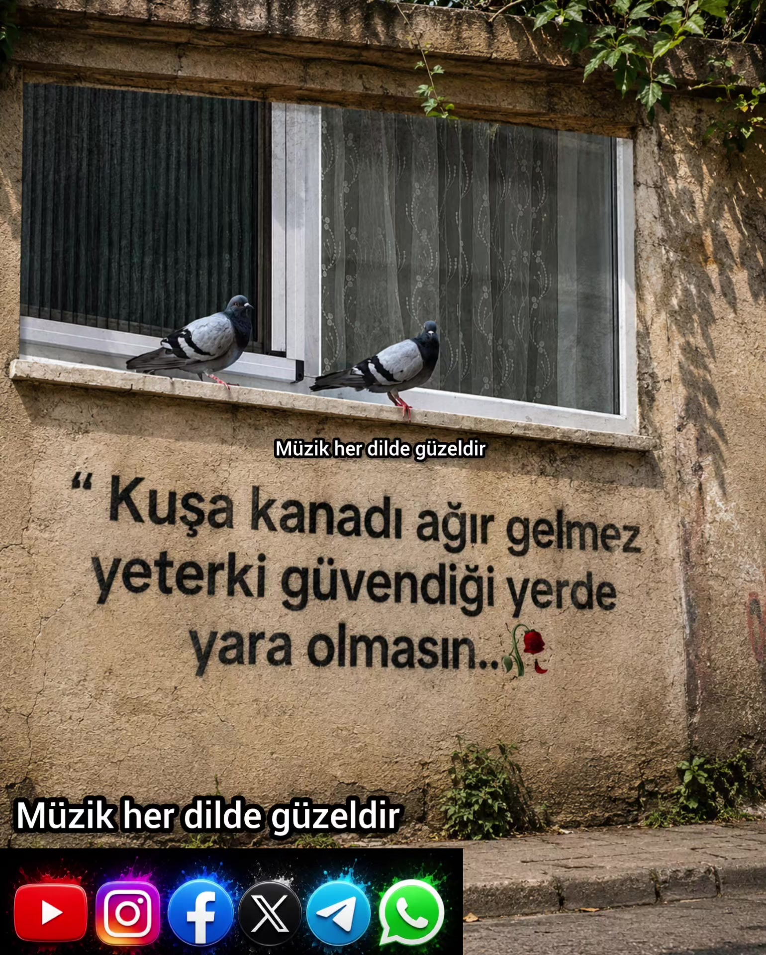 @müzik her dilde güzeldir