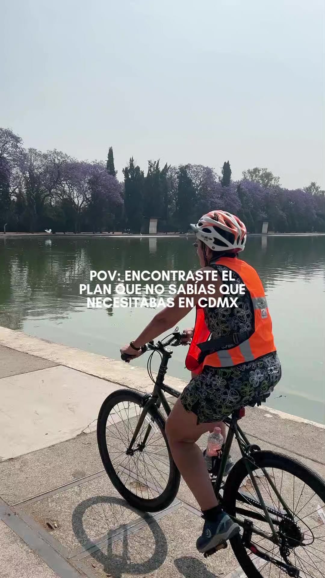 @México Traveler