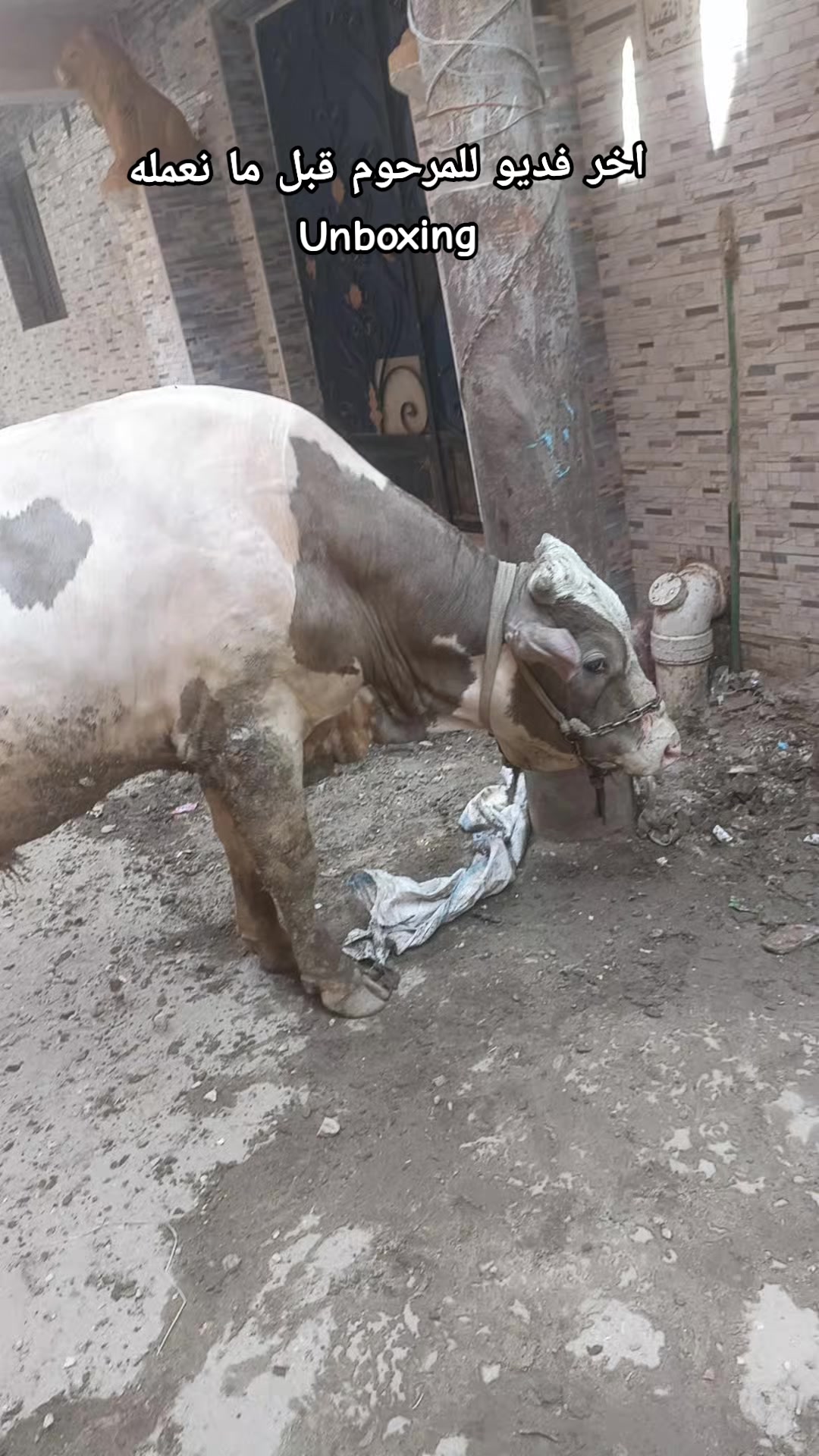 @MarUoma || مريومه 🤪☝🏻