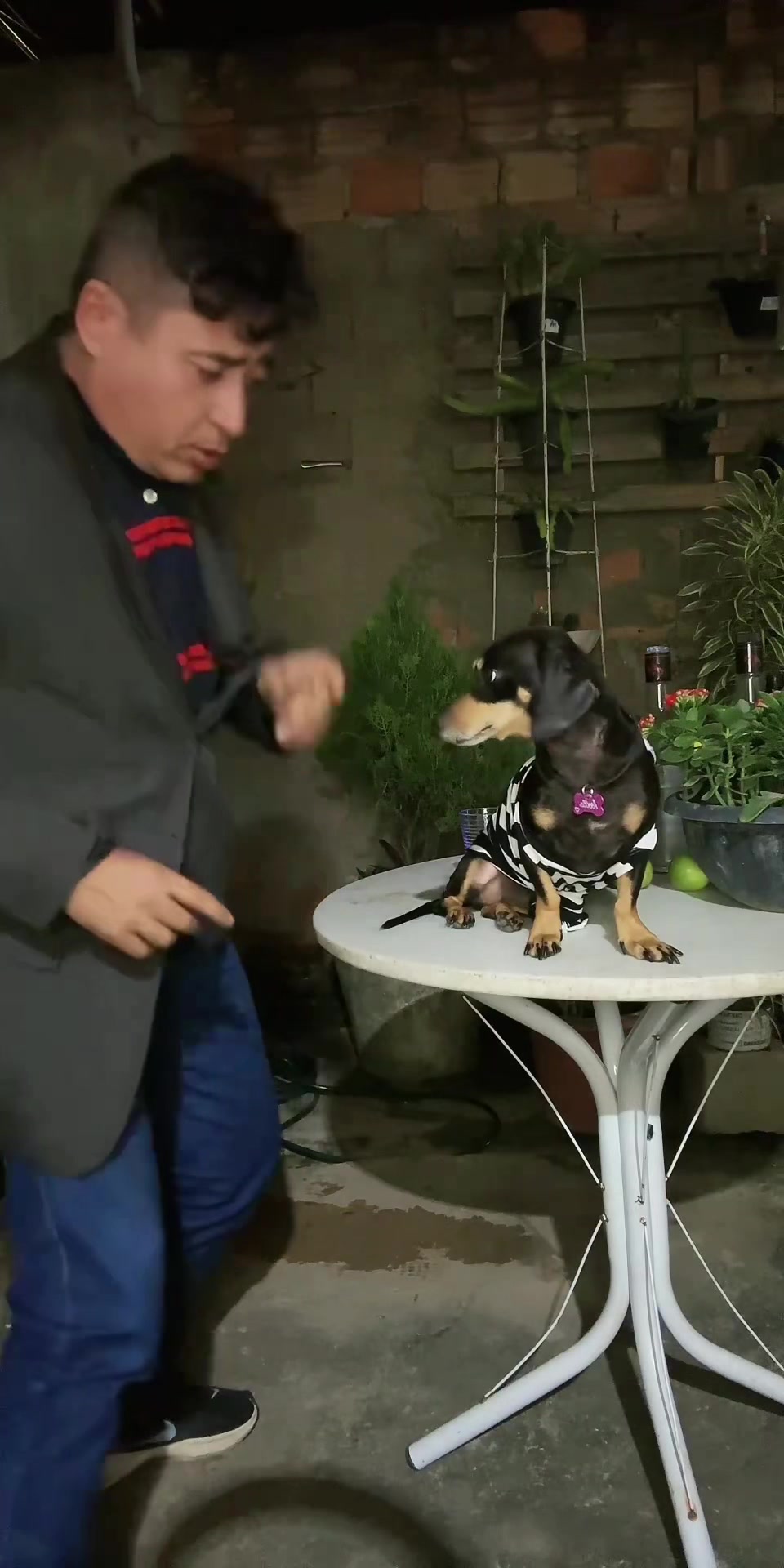 @Z&eacute; bebinho da mam&atilde;e oficial
