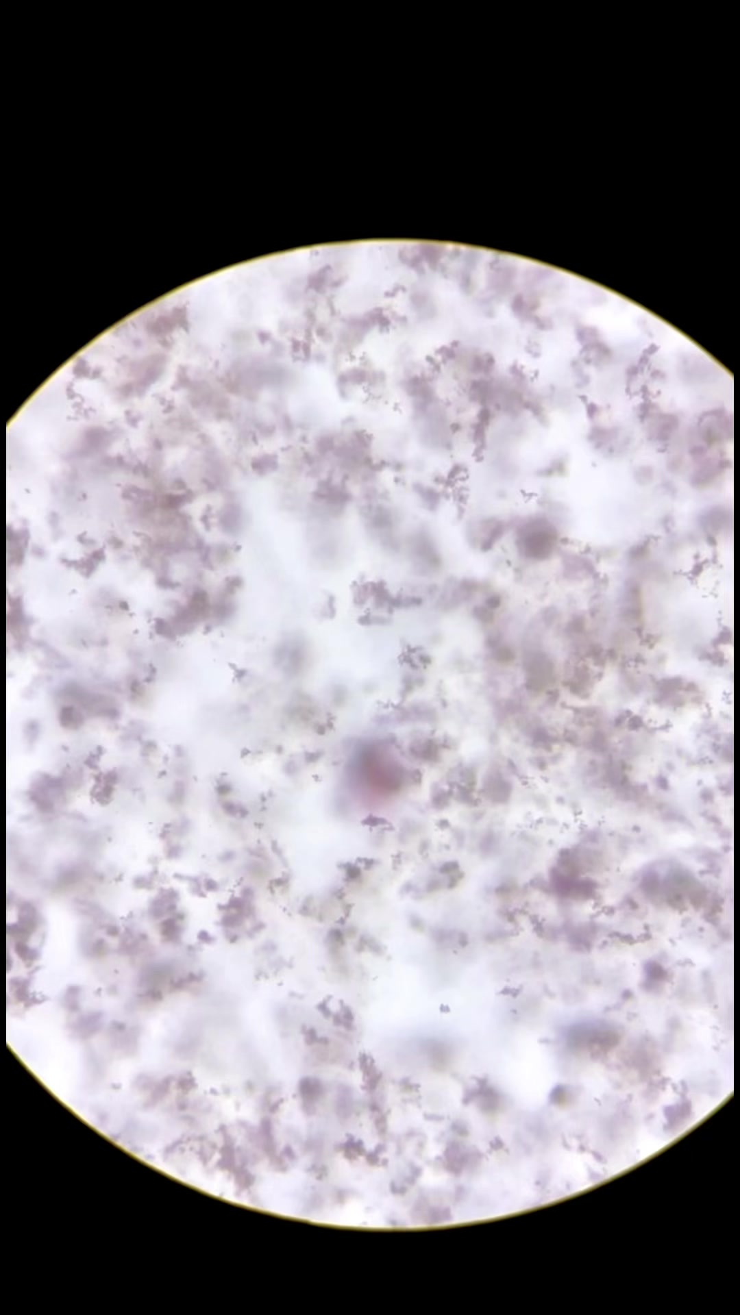 @ALab 🔬💉🩸