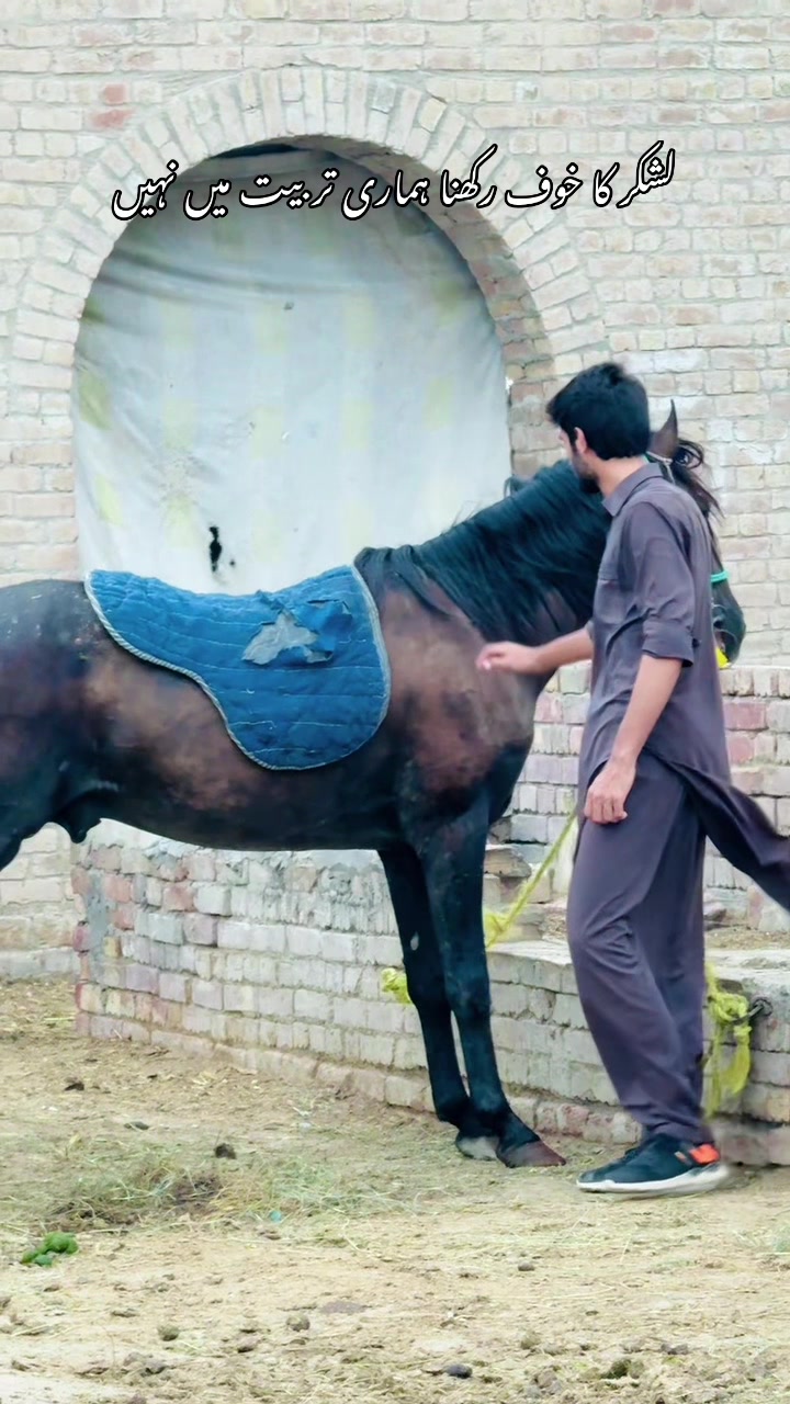 @نعمان یوسف وٹو(تیجے کا)🀄️
