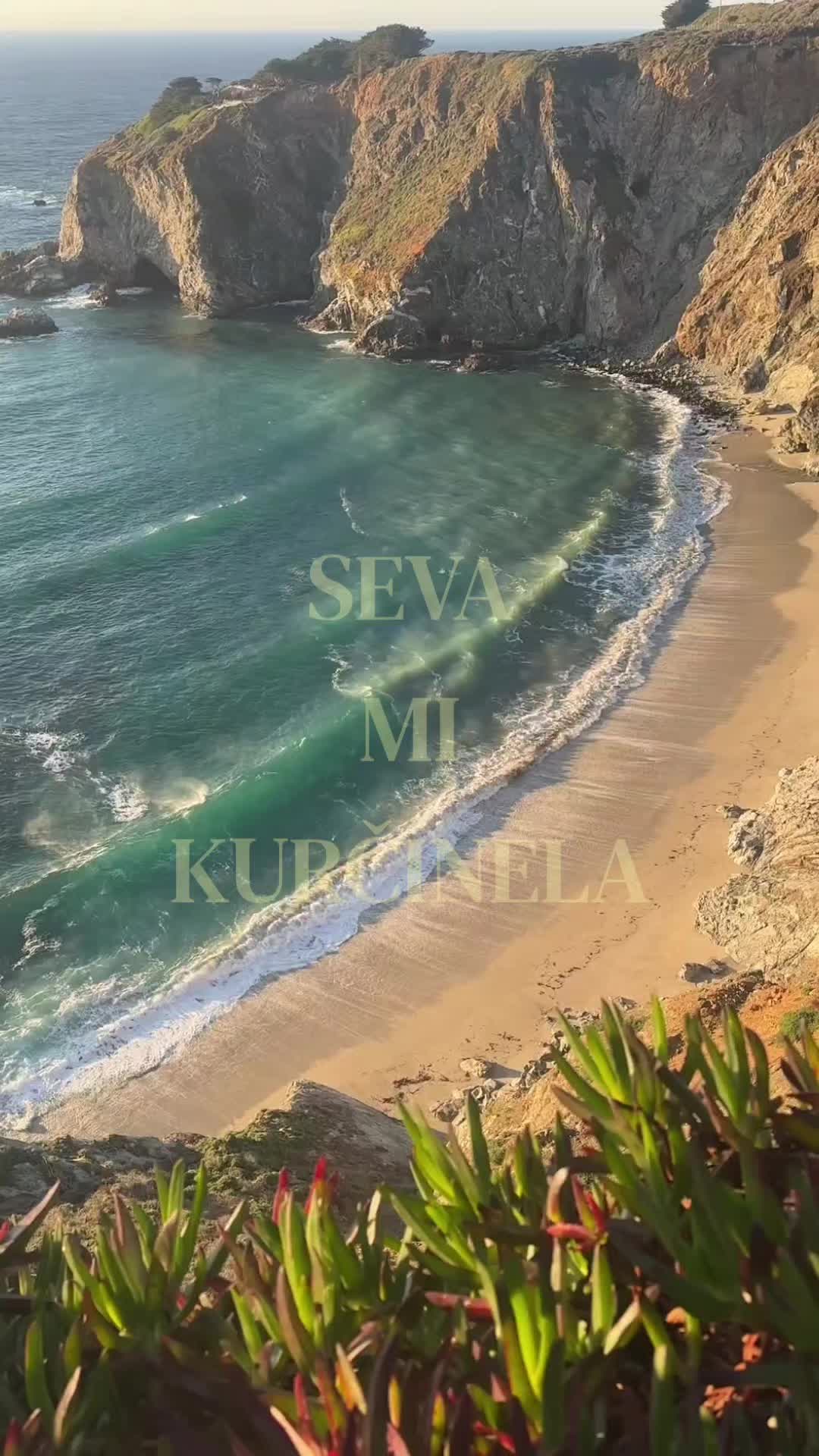 @𝑫 𝑰 𝑽 𝑰 𝑵 𝑬 🐈⬛