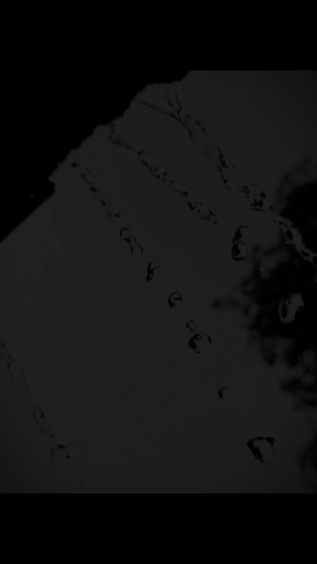 @𝔸ℝ𝕄𝔸ℕ 𝔼𝕕𝕚𝕥𝕫𝕩