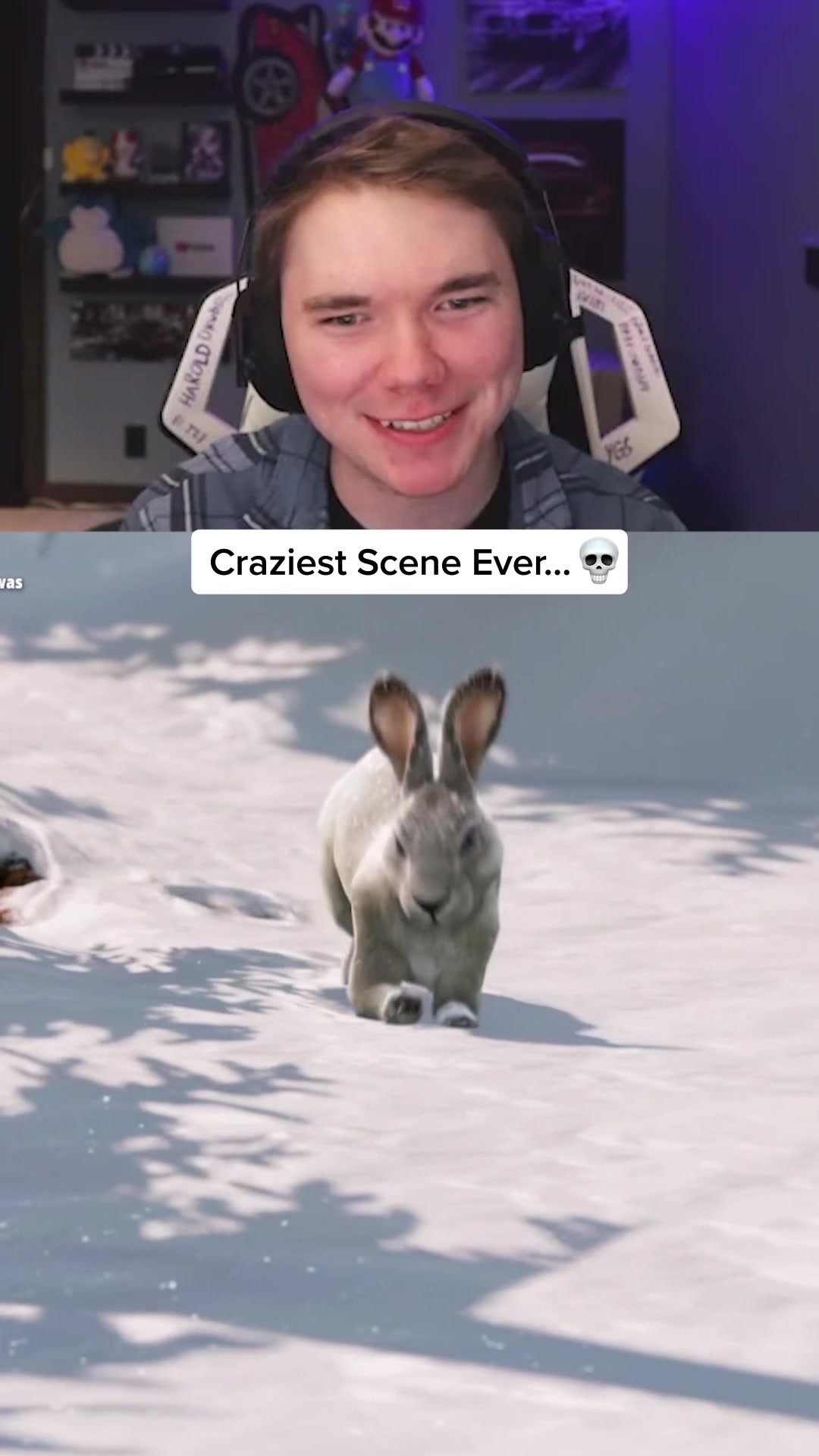 @LionHimself