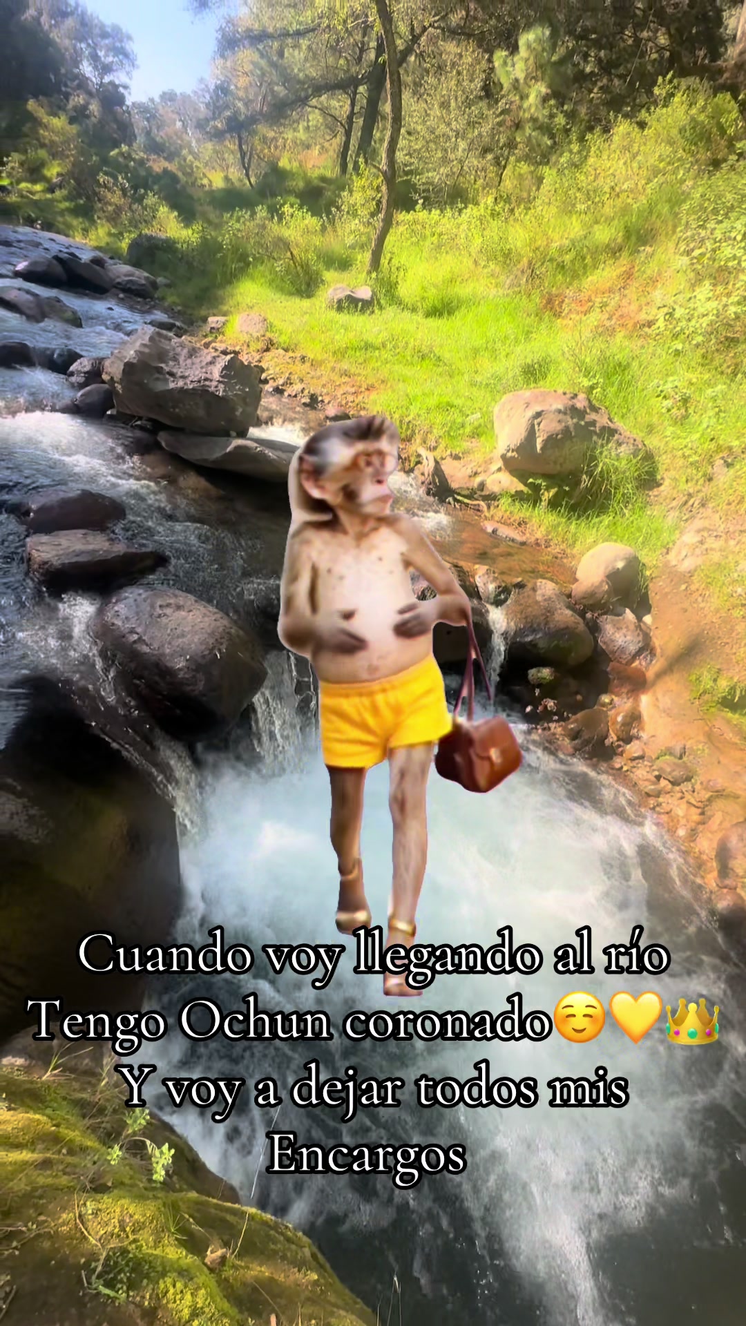 @sandyeleguacita