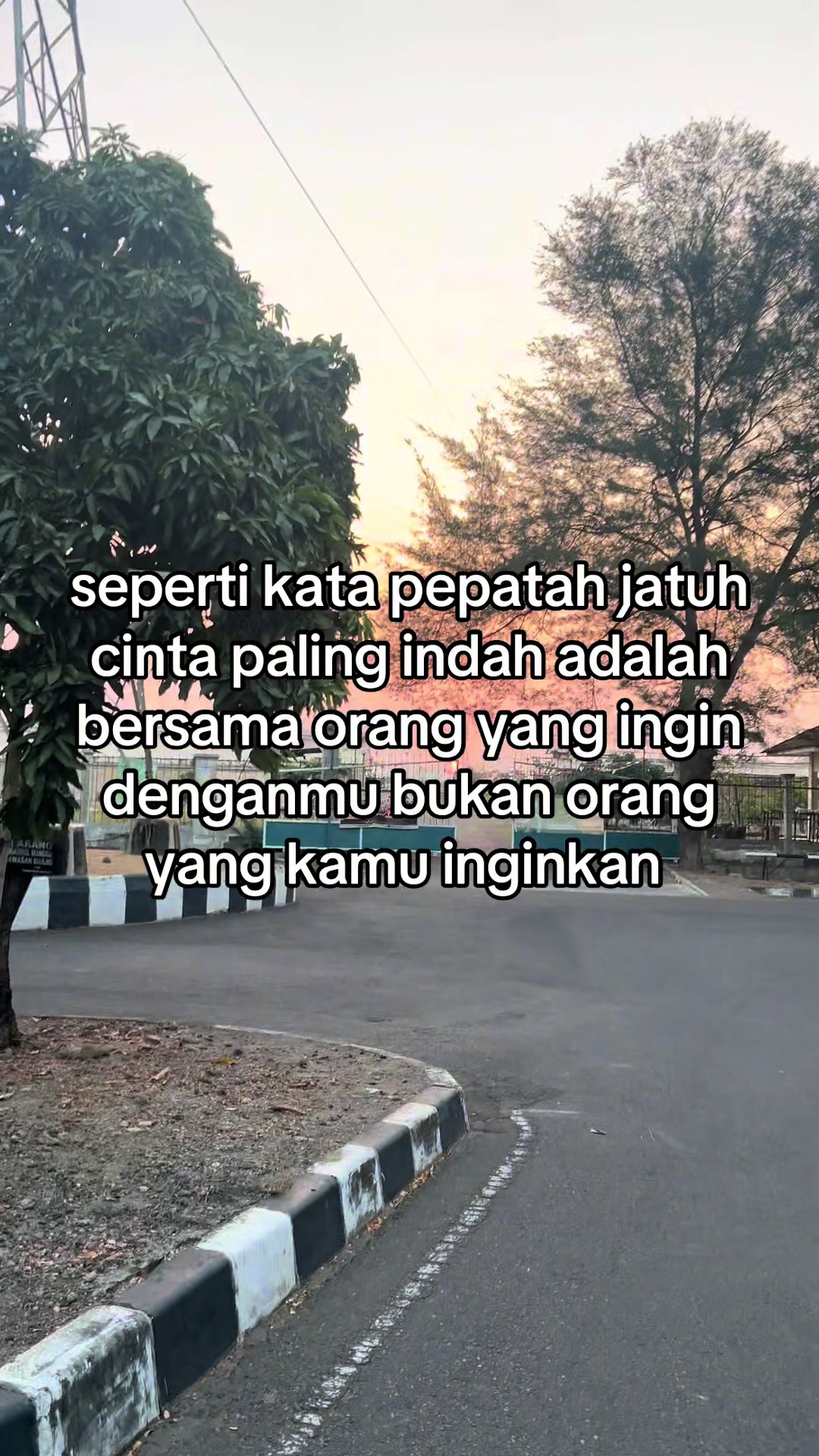 @๐ธ๐ซงโจ