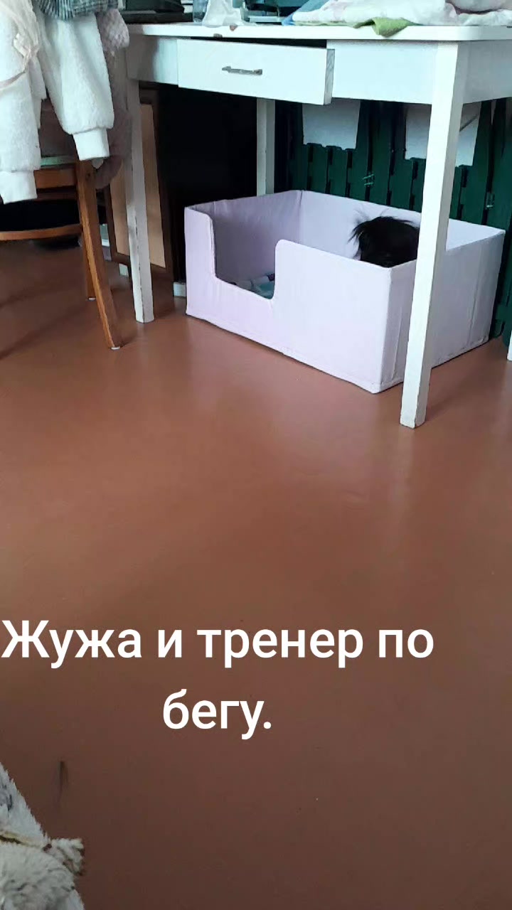 @Жужа