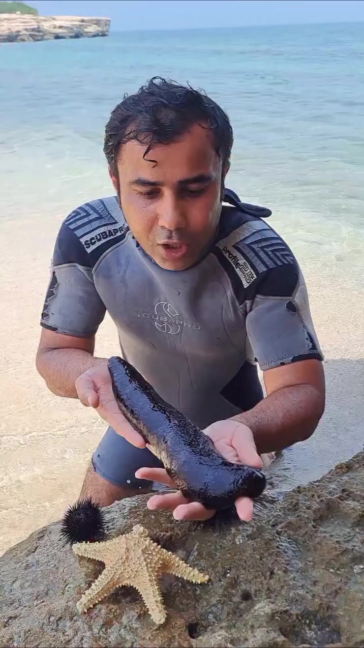 @Shahab Jaberi