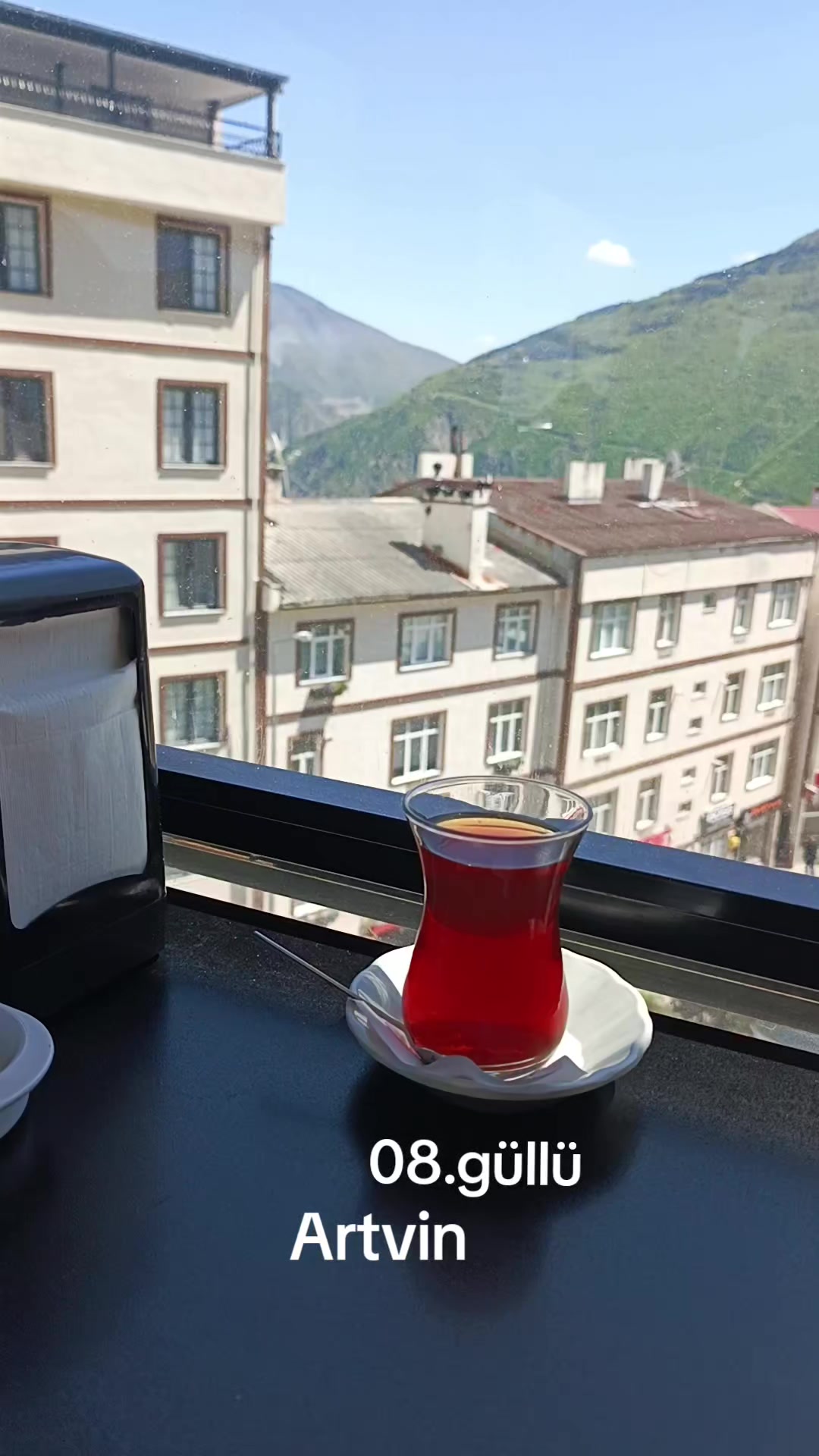 @08.G&Uuml;LL&Uuml;