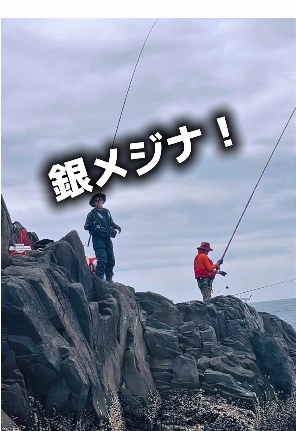 @チヌチヌ🐠