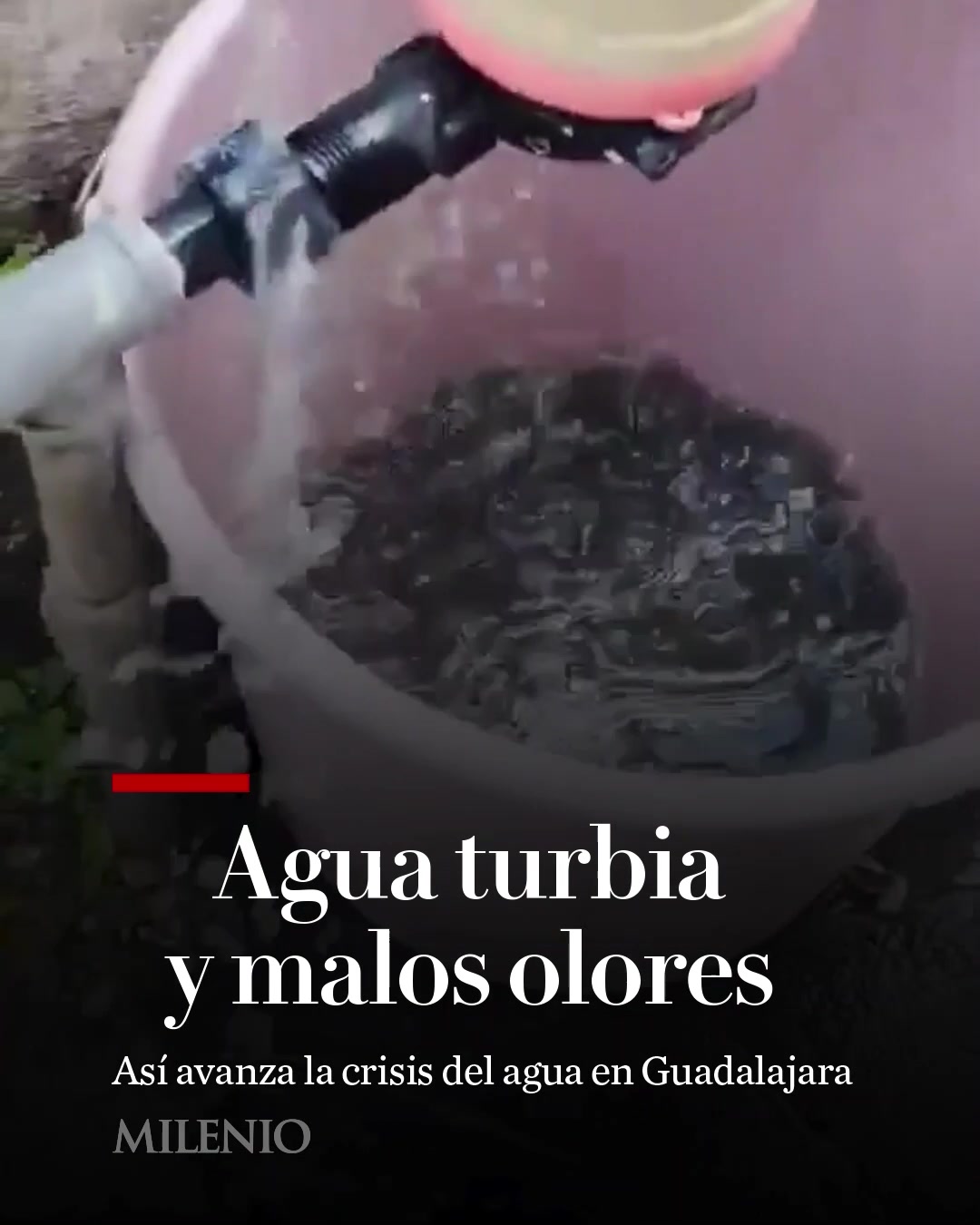 @MILENIO