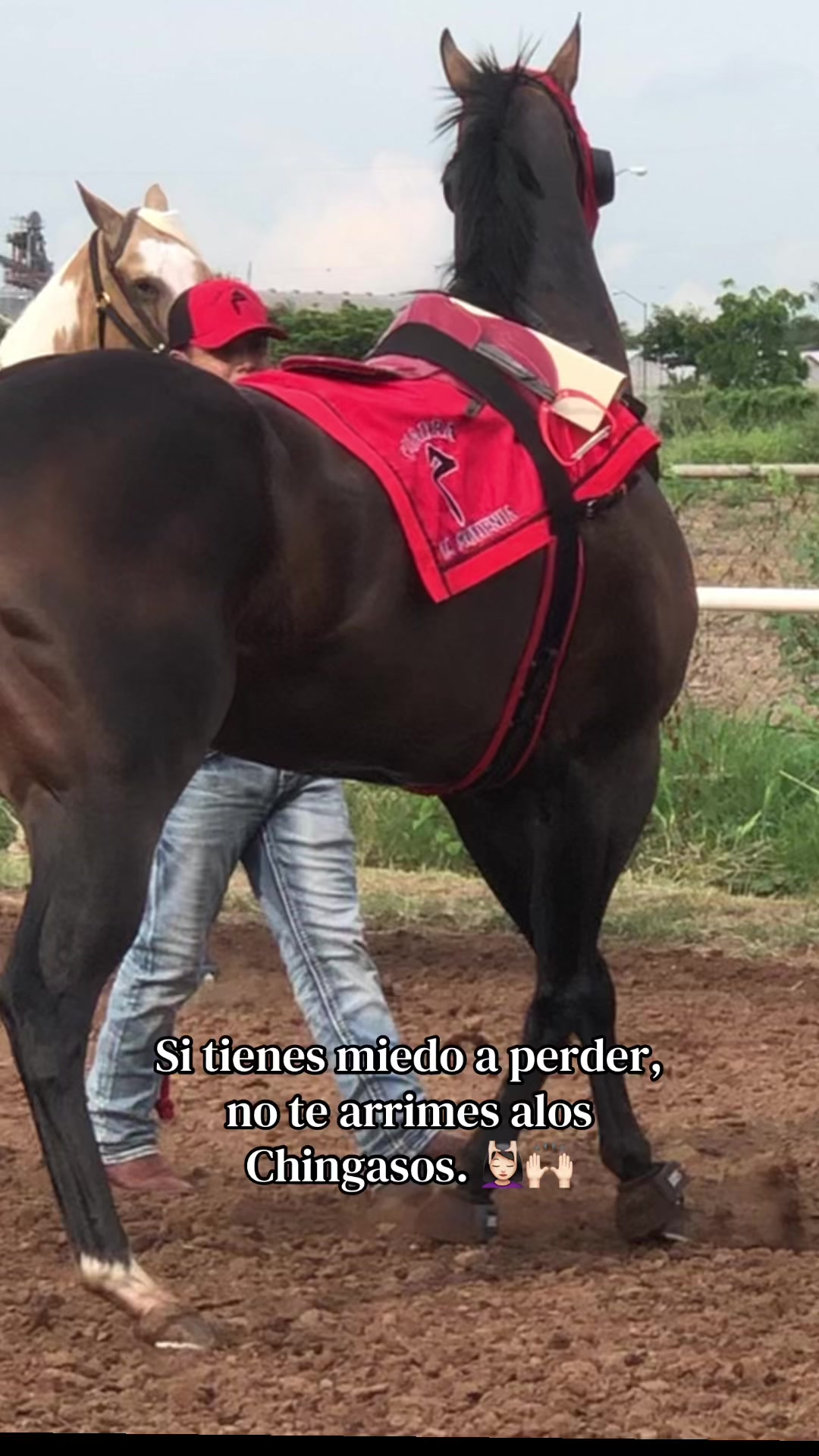 @Anye guzman🏇🏻