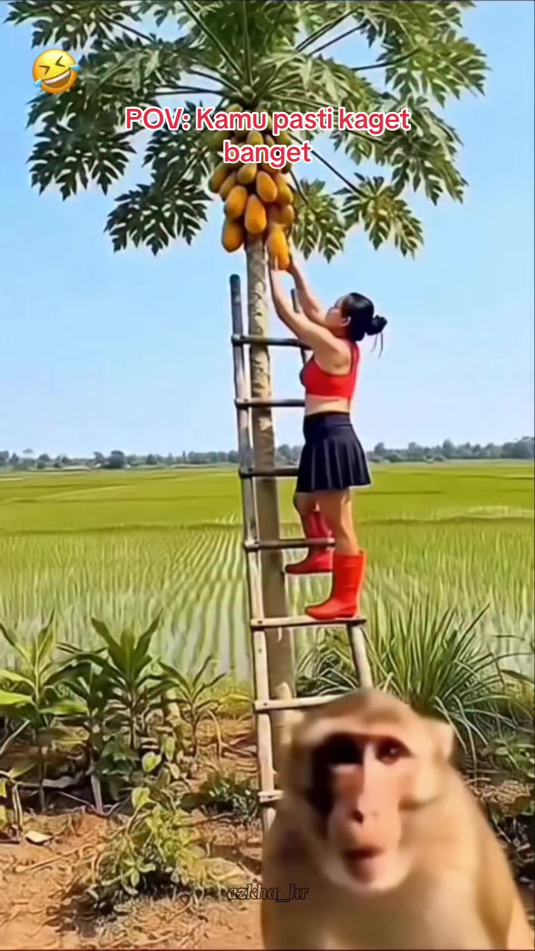 @ERICHA_hr