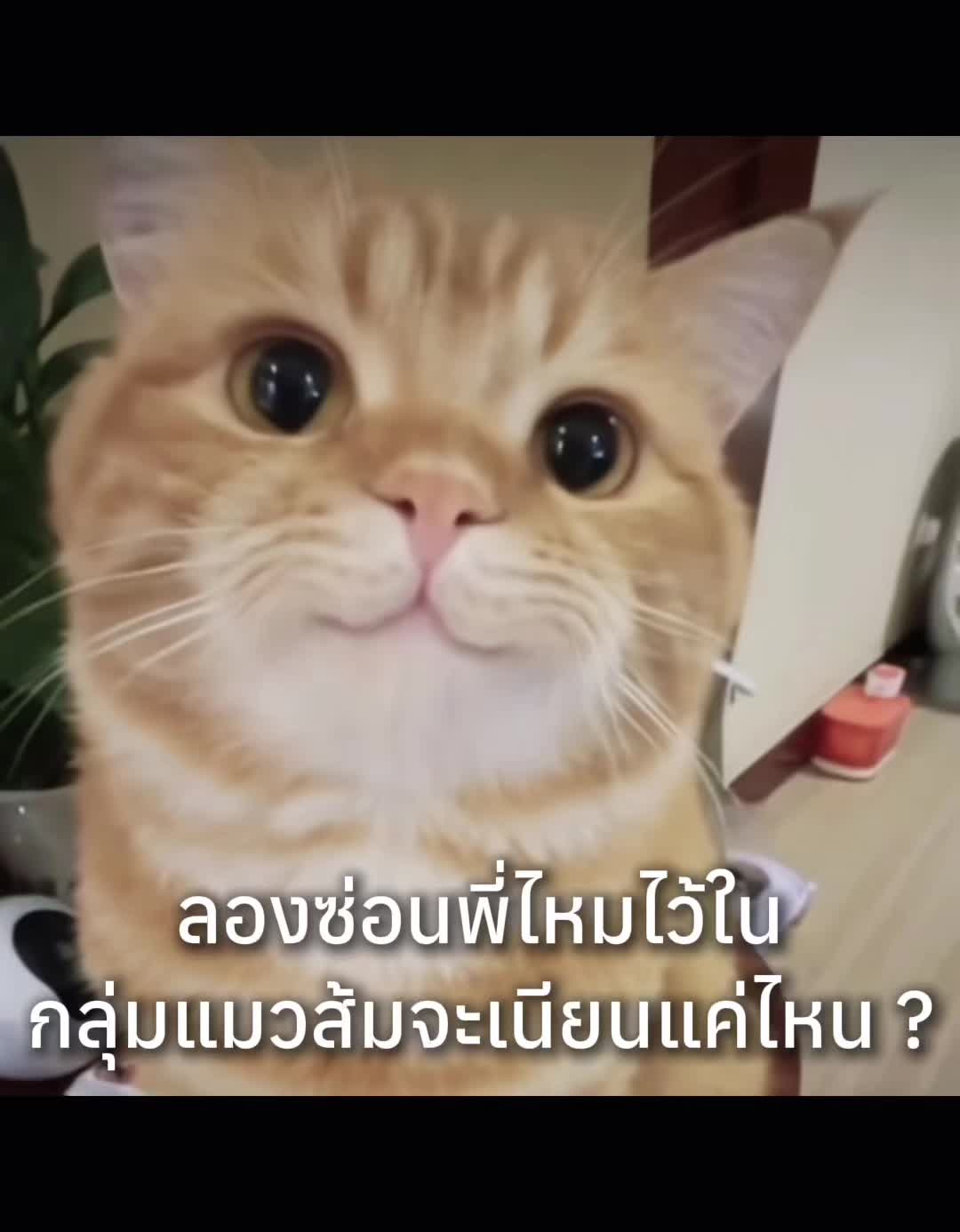 @เอพิ่ว