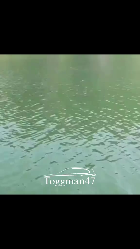@hertelden4747