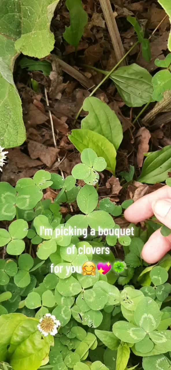 @WhimsicalWoman
