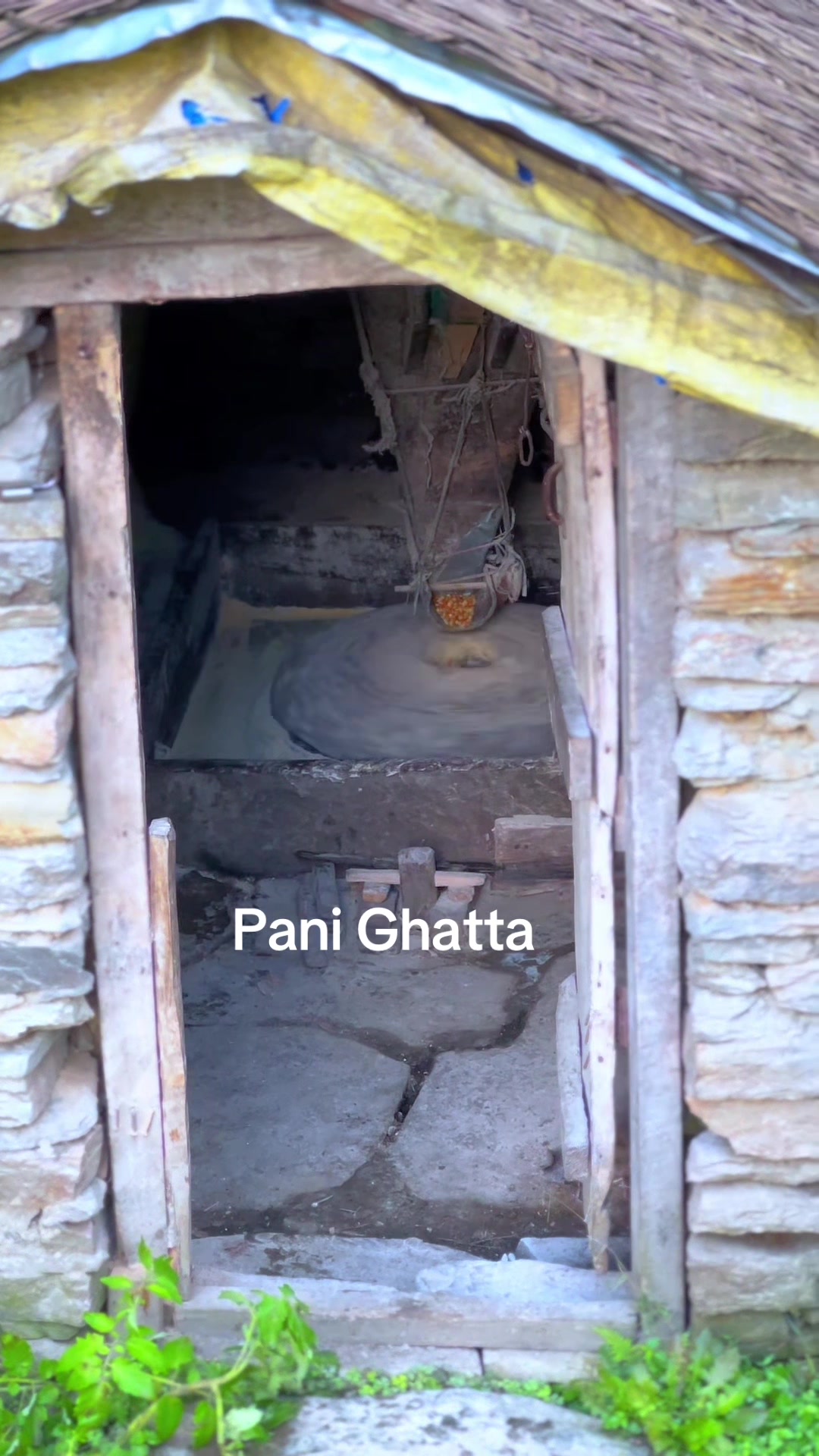 @Bøb Thakuri