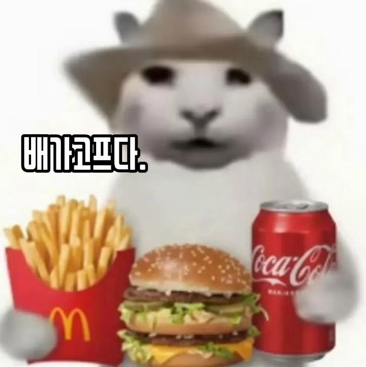 @킴인간
