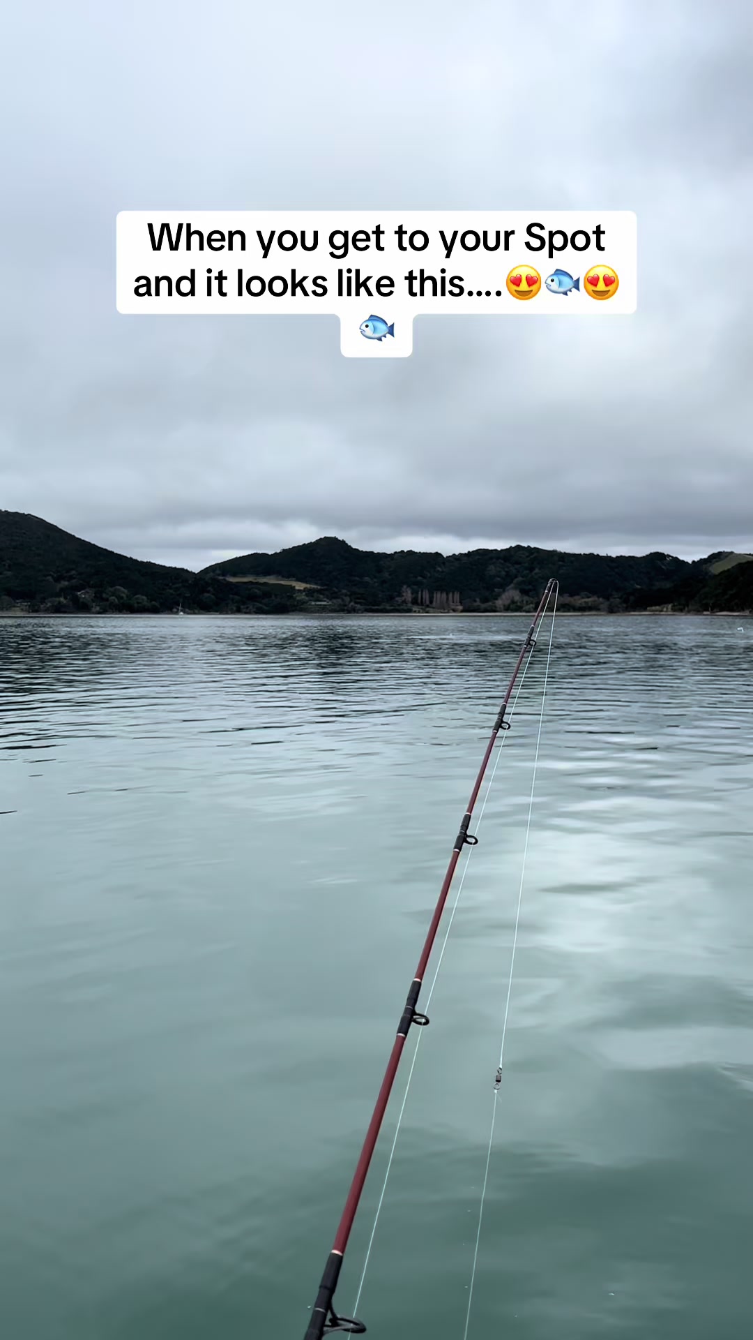 @Kodybro Nz Fishing🎣💯🏴☠️