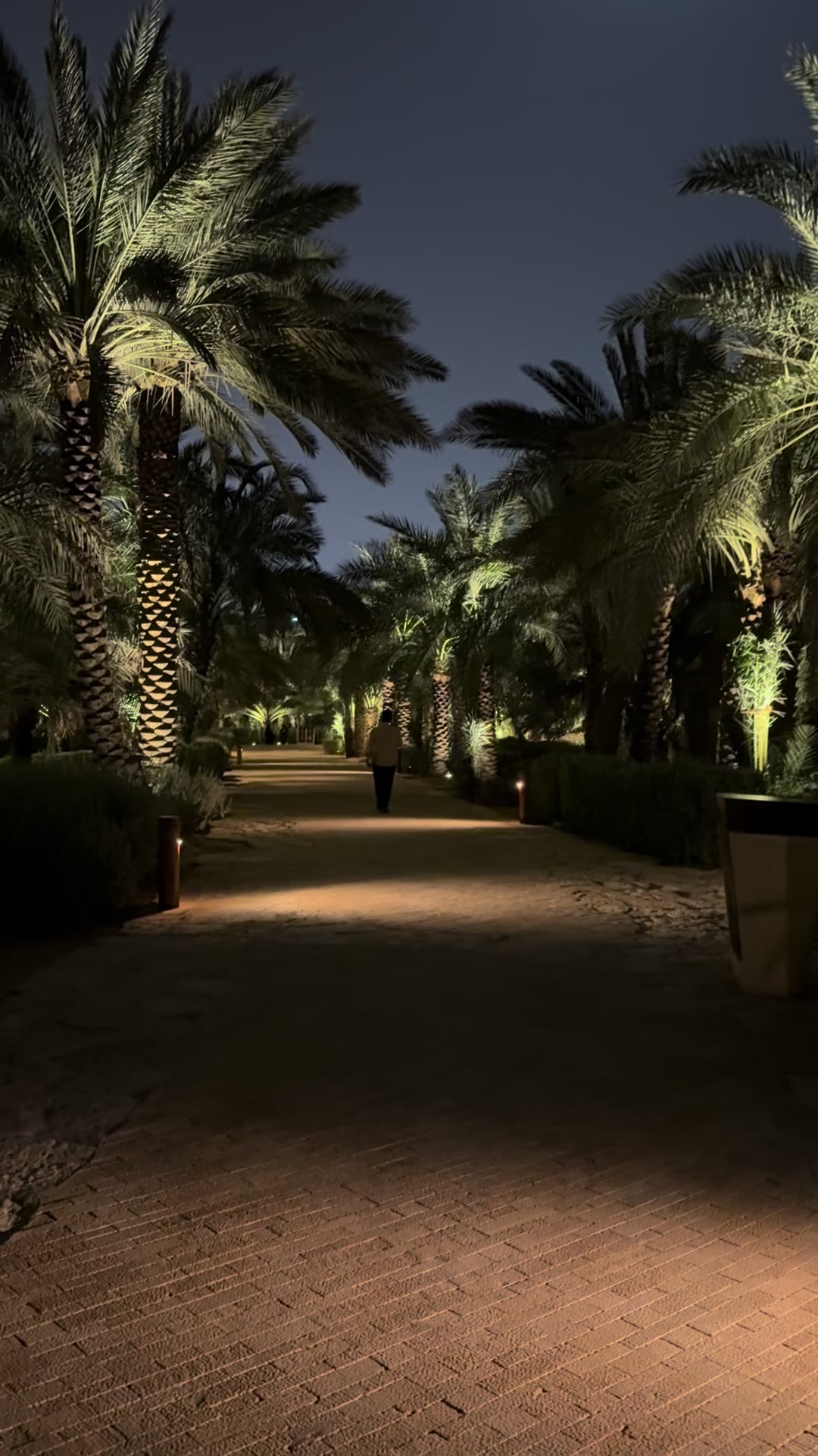 @Alshehri🇸🇦