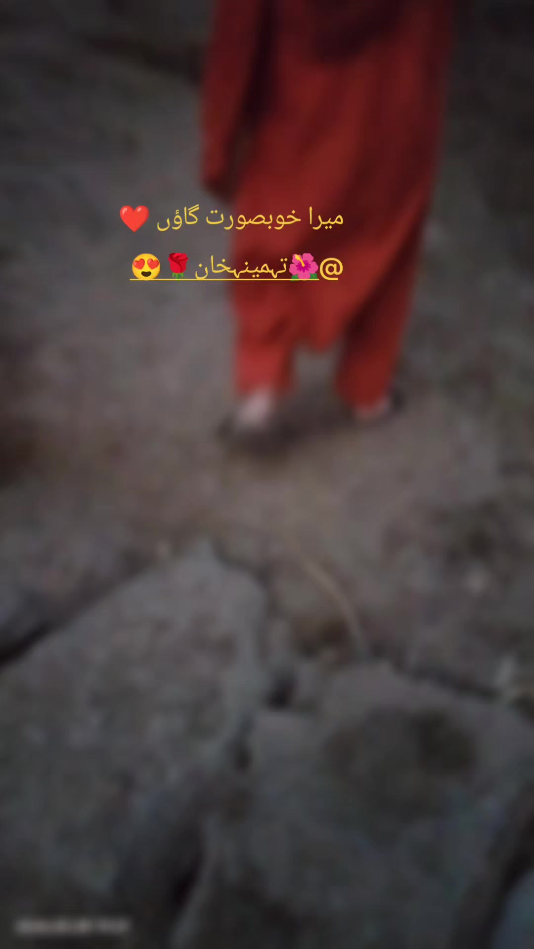 @🌺تہمینہ خان🌹😍