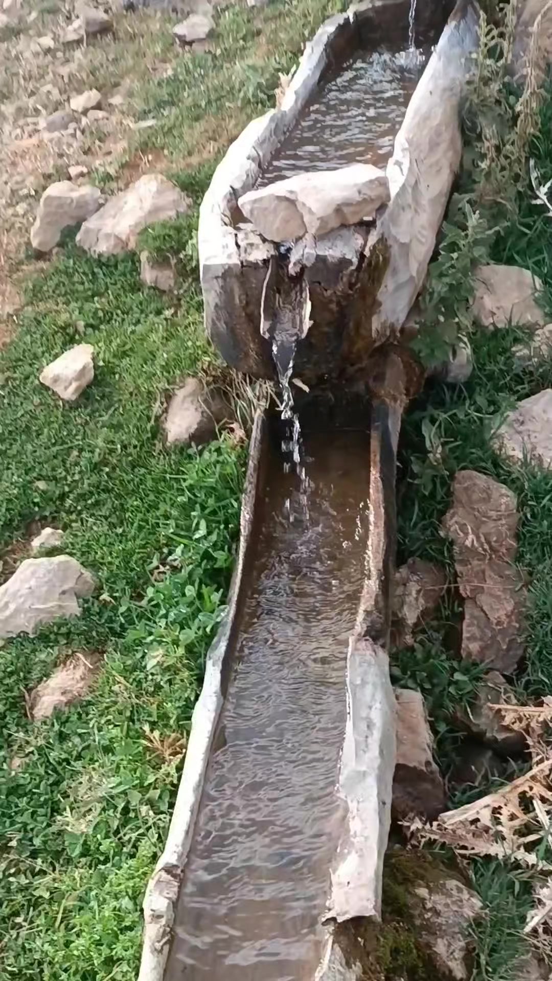 @DAĞCI.46