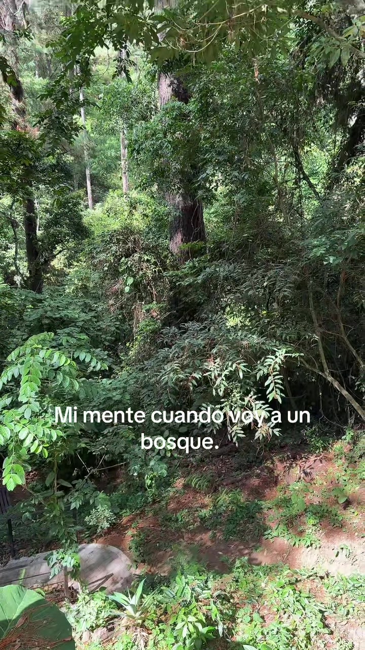 @Mar&iacute;a.