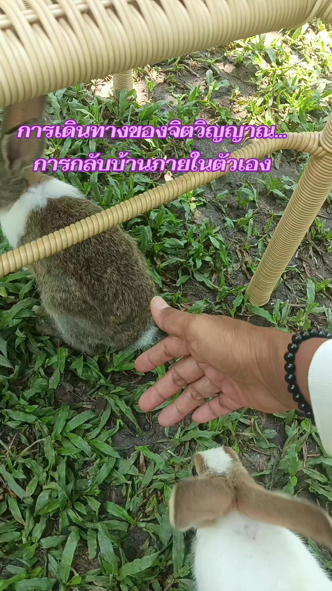 @Inner Wisdom8