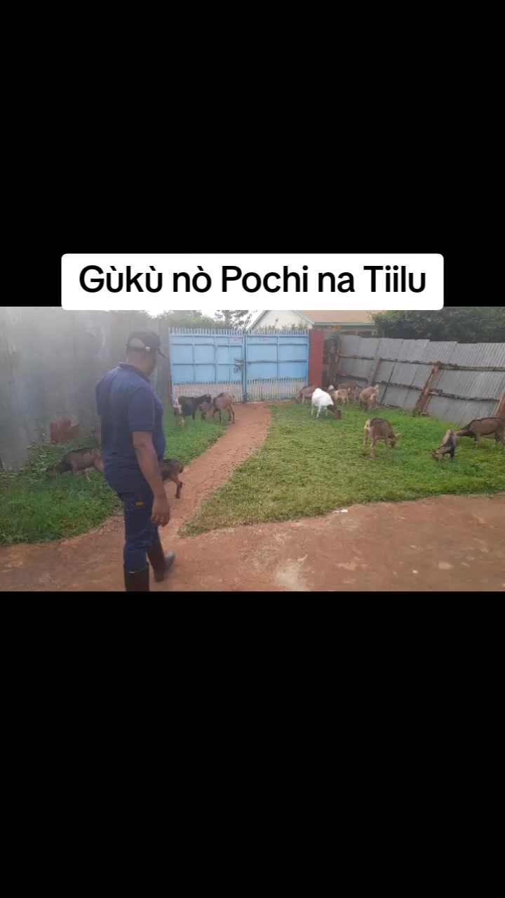 @Sam Kariuki