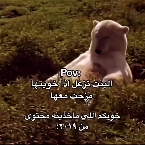 @راكان🇸🇦