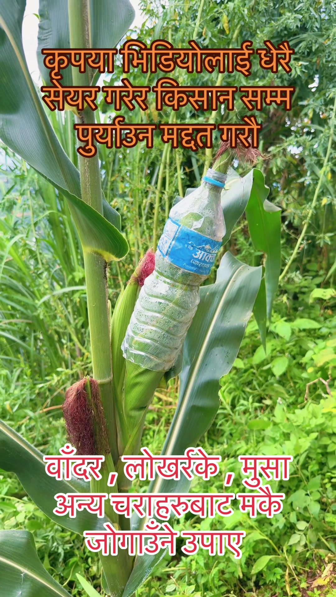 @govinda ,ramkrishna ,mother