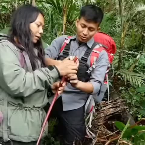 @aluuu bois