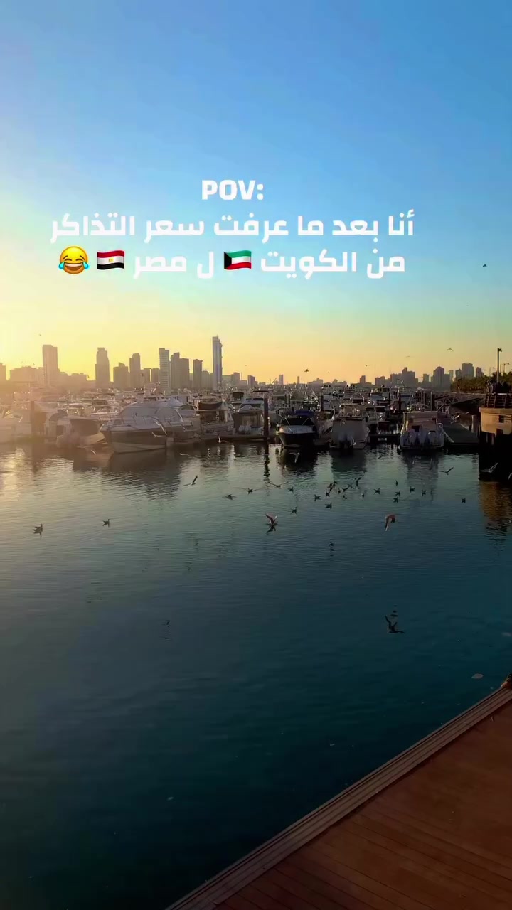 @Ghanem Elwan