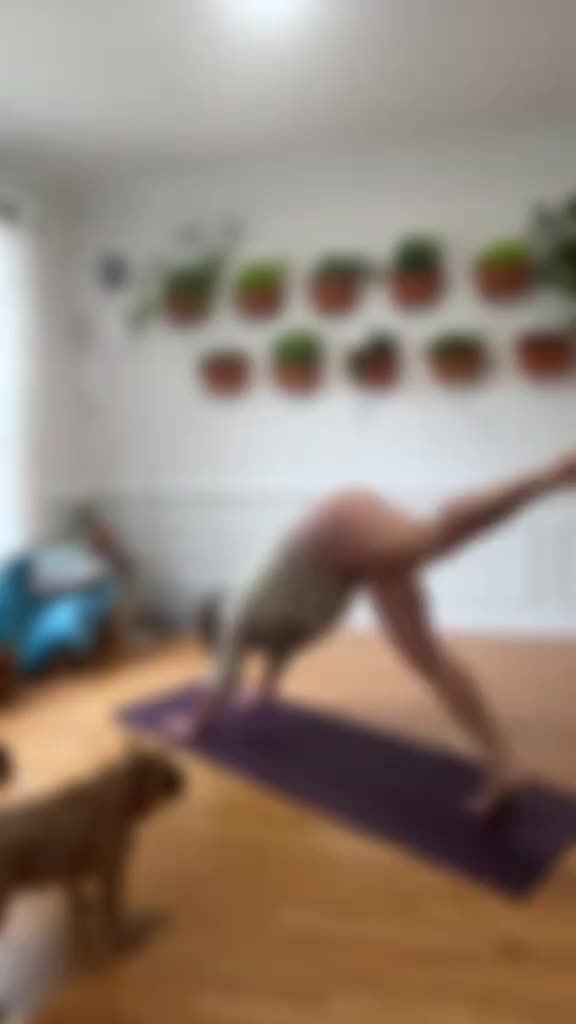 @Lotus Moon Yoga