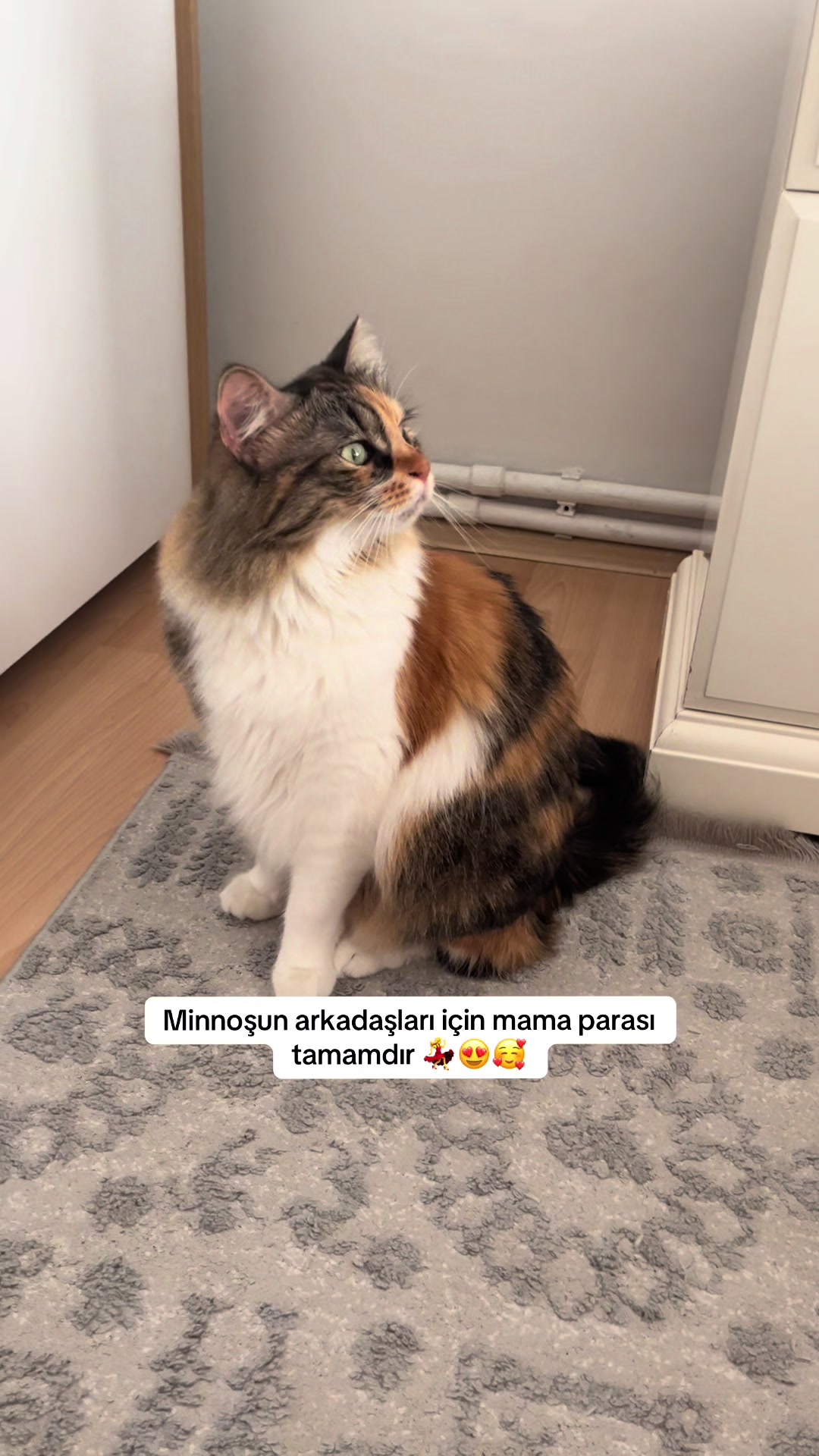 @konusankediminnos