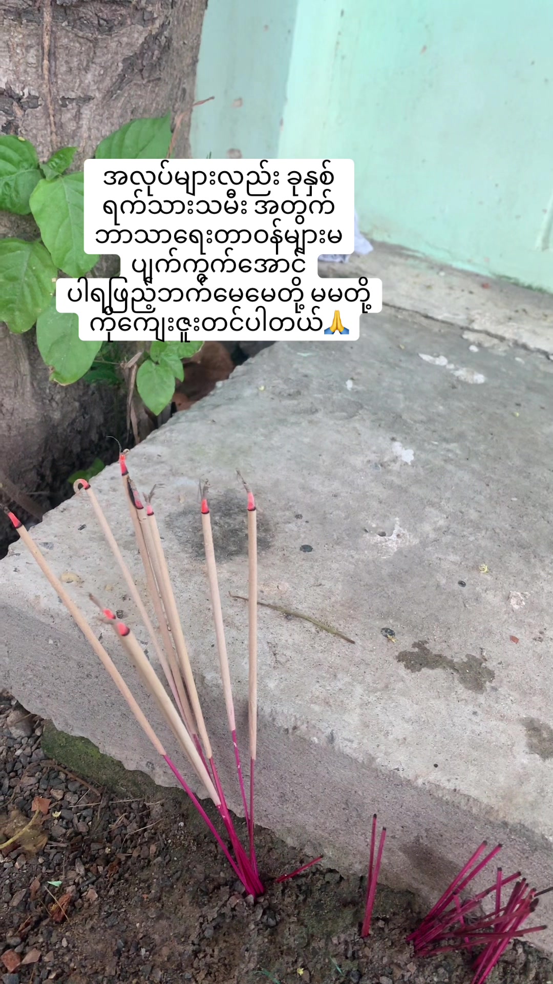 @မနောပါရမီရှင် ဆရာမမေမီမောင်