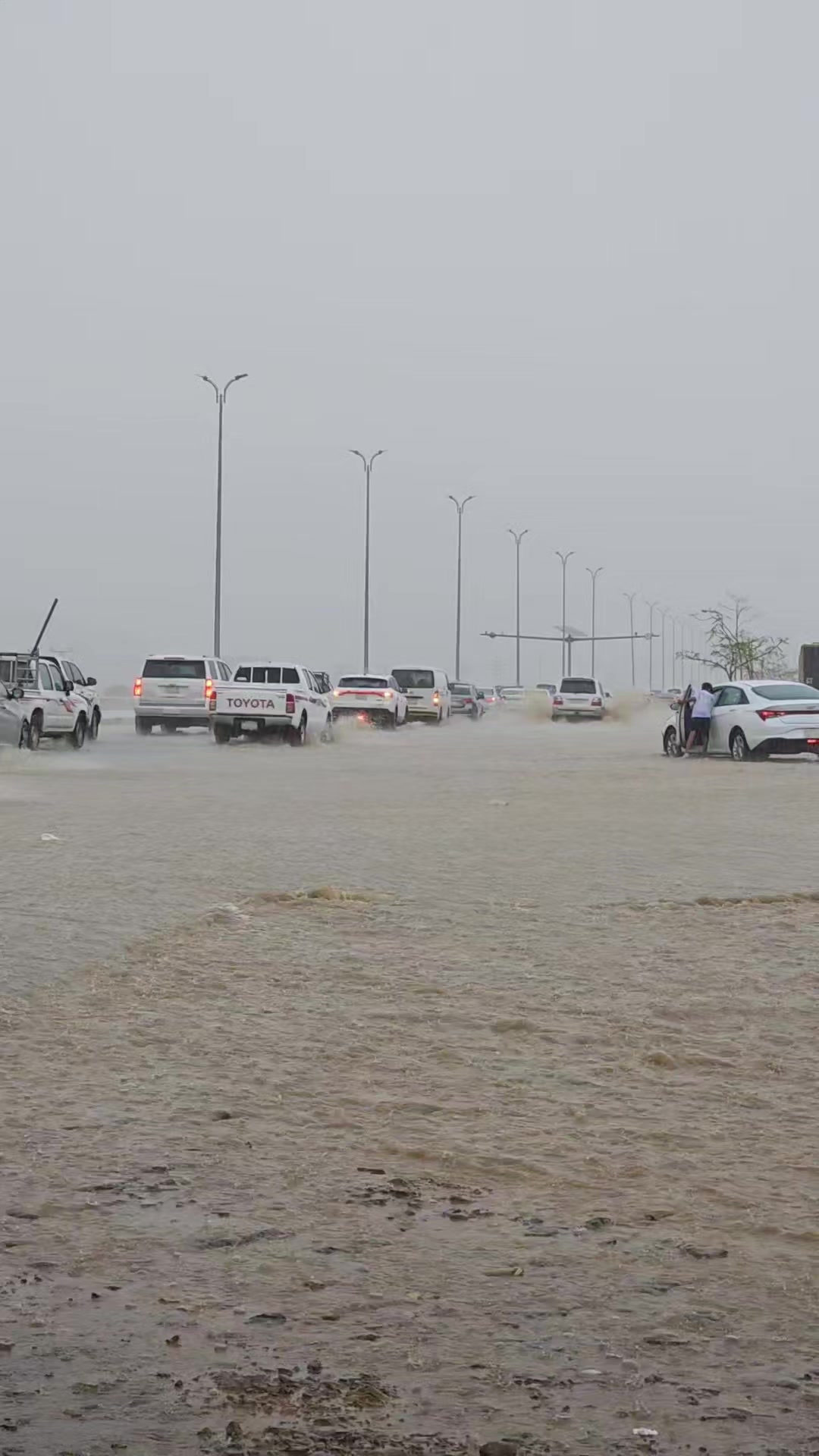 @آبووسآم برق آلَساحل⚡️⛈️