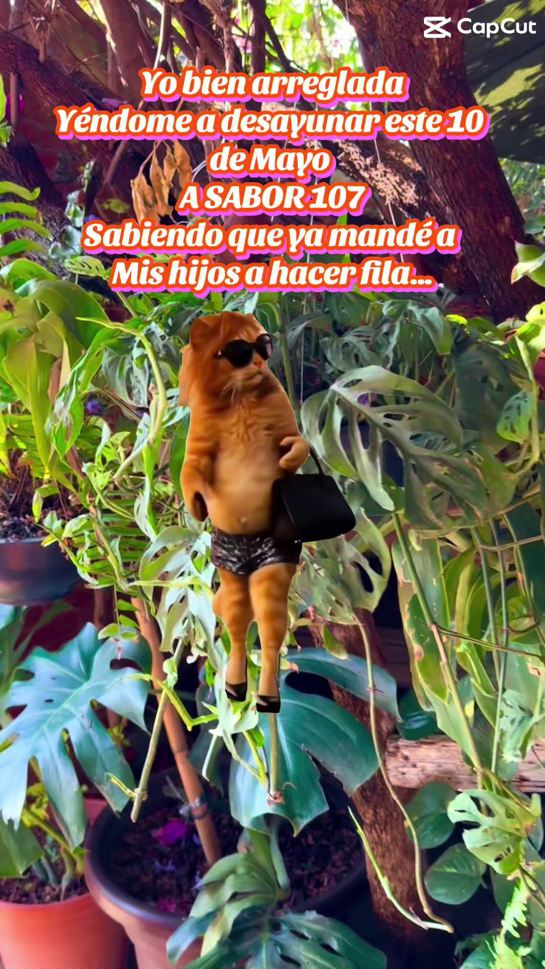 @Sabor 107
