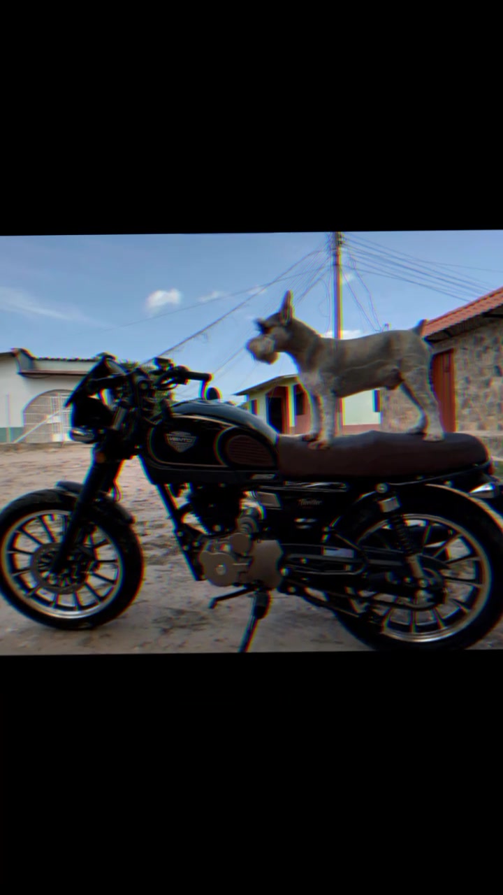 @RaGNaR🐾RoCKDoG