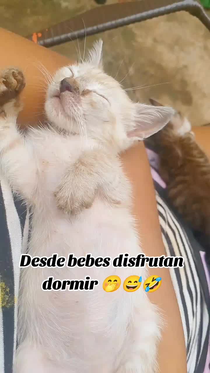 @Marcia Colque Mamani 🖤✨