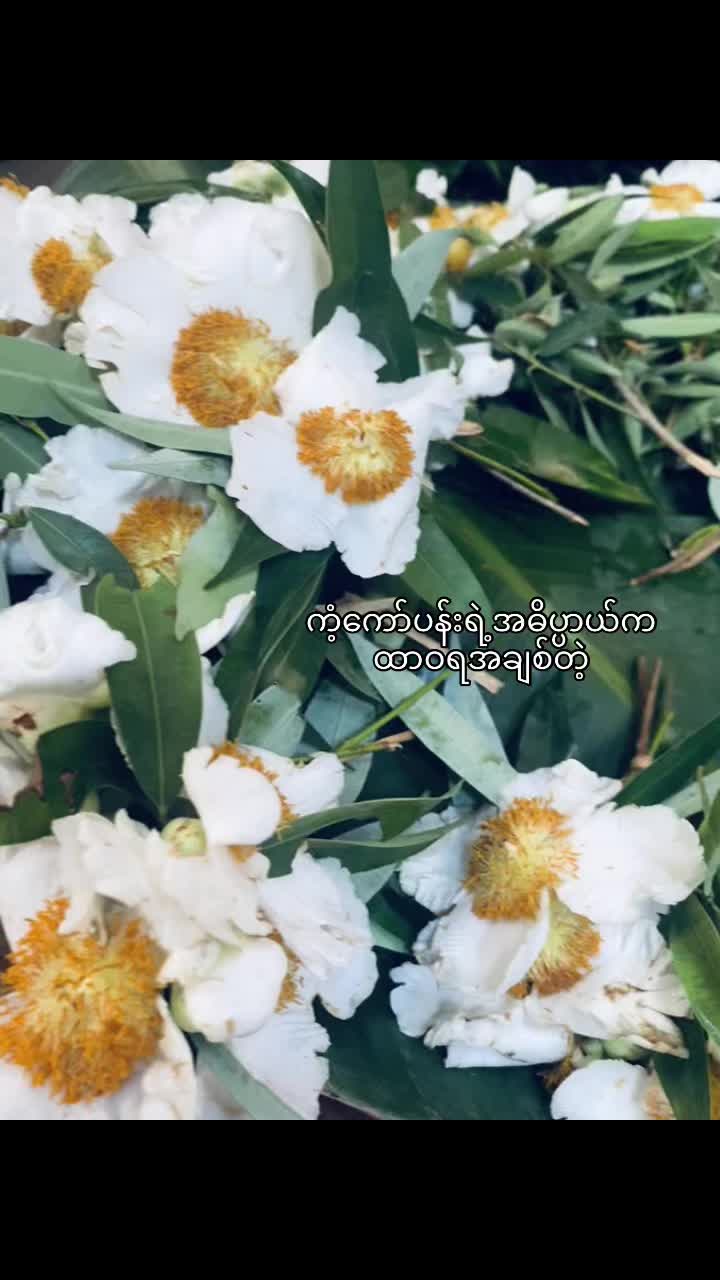 @Cho🦋