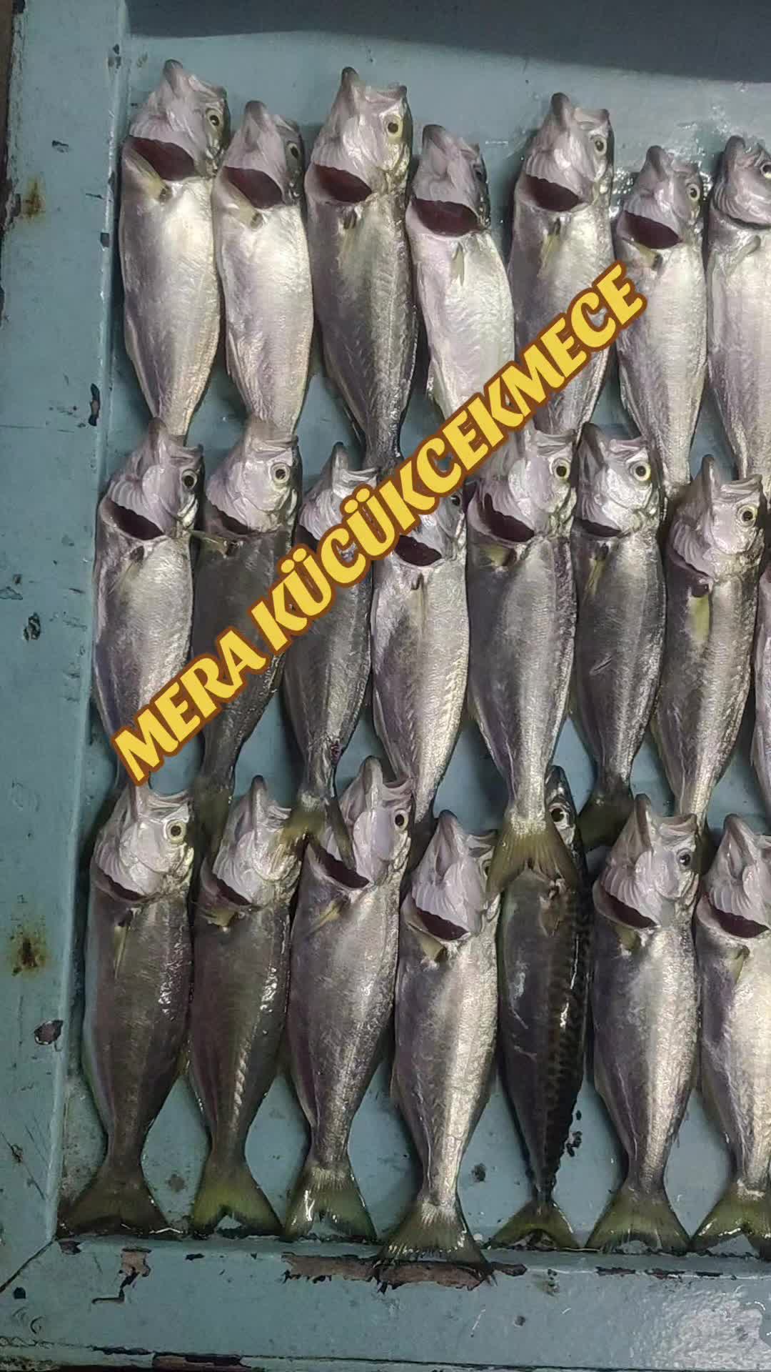 @SeRCan KaPTaNLa TeKNe KeYFi