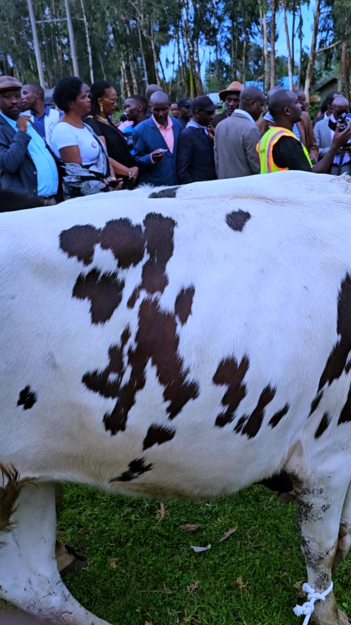 @𝗝𝗨𝗦𝗧𝗜𝗡